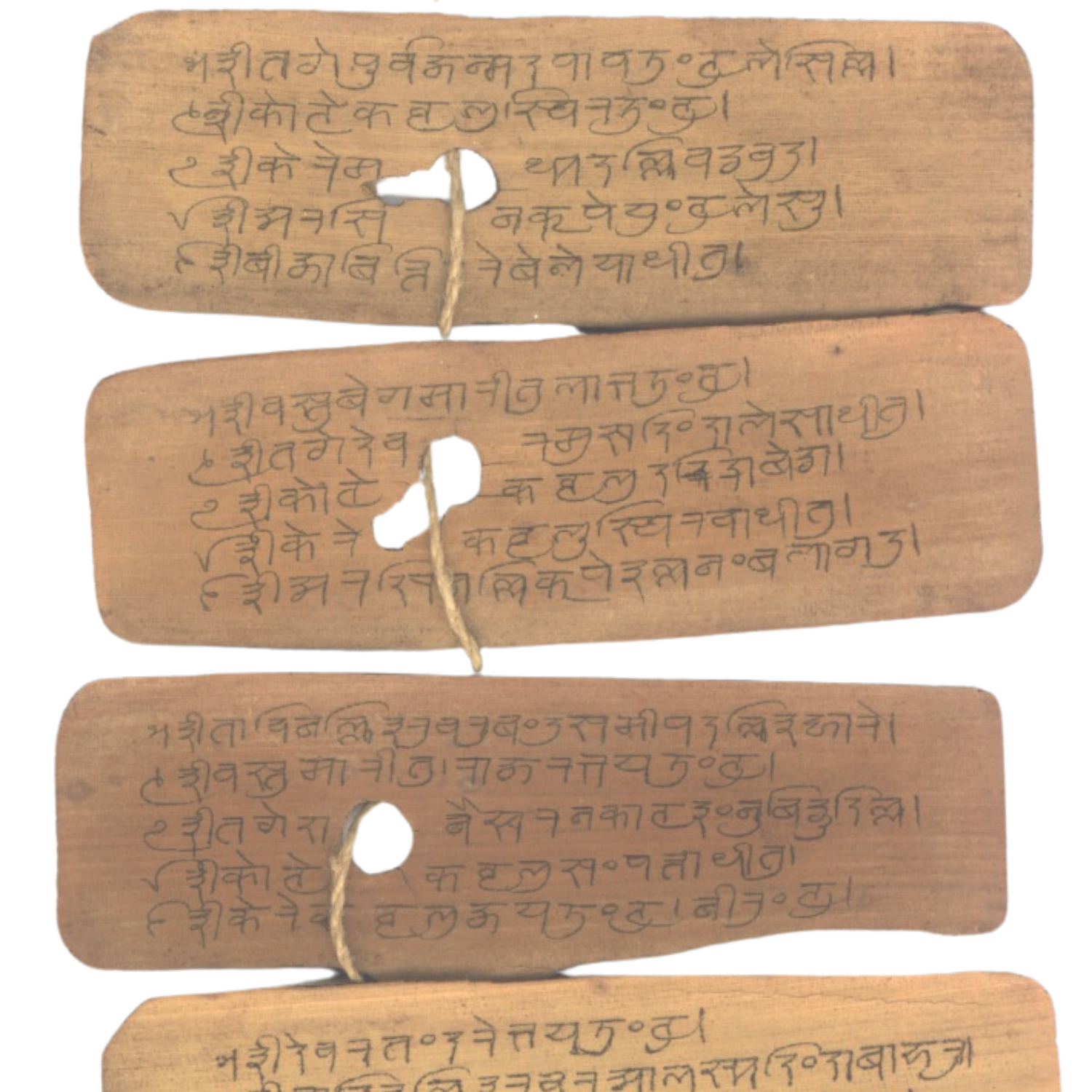 manuscriptology