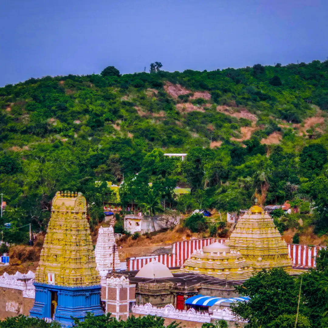 Sree Varaha Lakshmi Narsimha Swamy Temple - Simhachalam