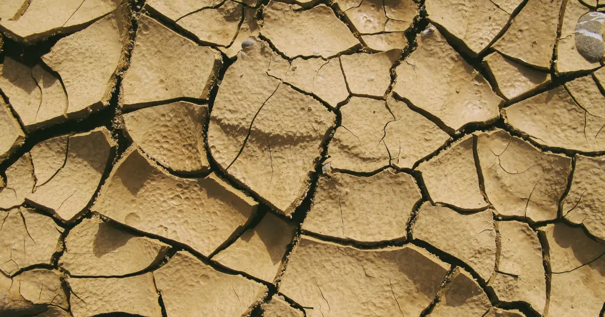 The Global Soil Health Crisis - Implications and Solutions