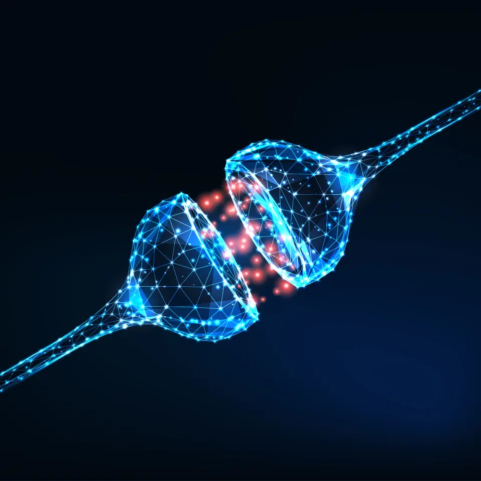 About Synaptic Reconnection